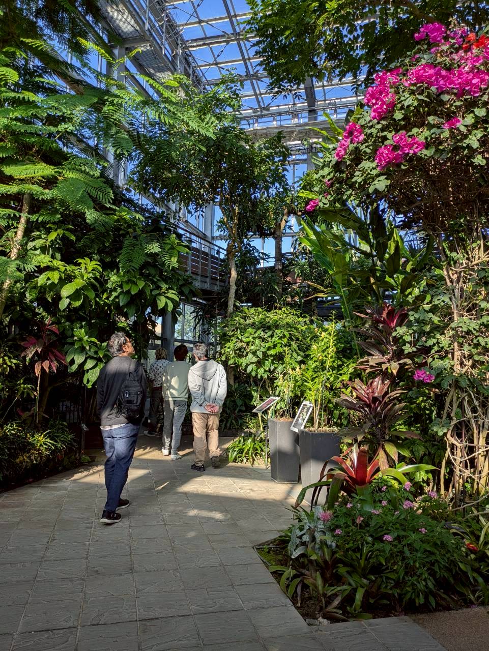 青島ボタニックガーデン